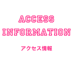 アクセス情報
